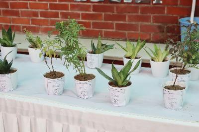 Best School In Indiranagar