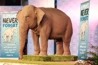 Best School In Suncity