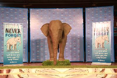 Best School In Suncity