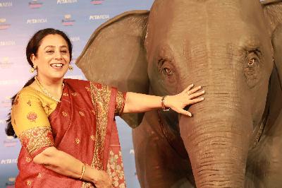 Best School In Suncity