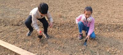 Best School In Indiranagar