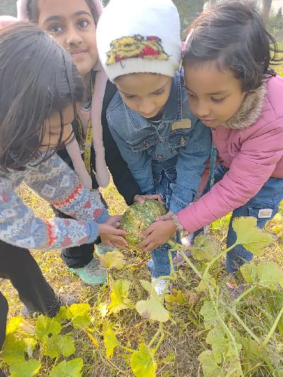 Best School In Indiranagar