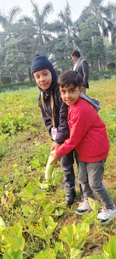 Best School In Indiranagar