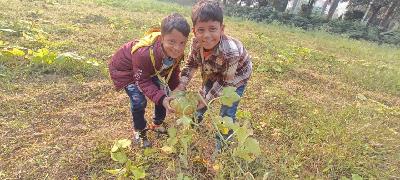 Best School In Indiranagar