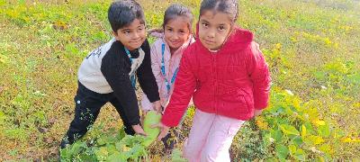 Best School In Indiranagar