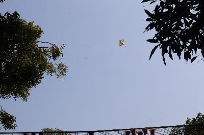 Best School In Indiranagar