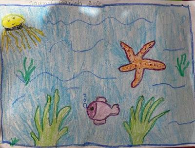 Inter House Competition - Primary section