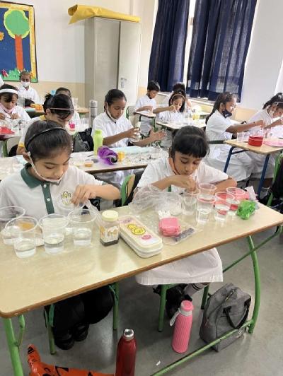 Club Activities - Primary
