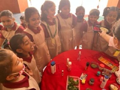 Pre Primary Activities 2022