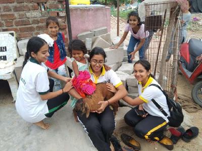 SCHOOL INITIATIVES