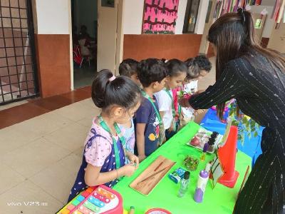 Pre Primary Activities 2023-24