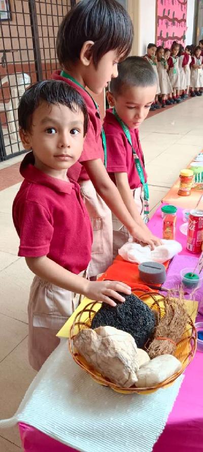 Pre Primary Activities 2023-24