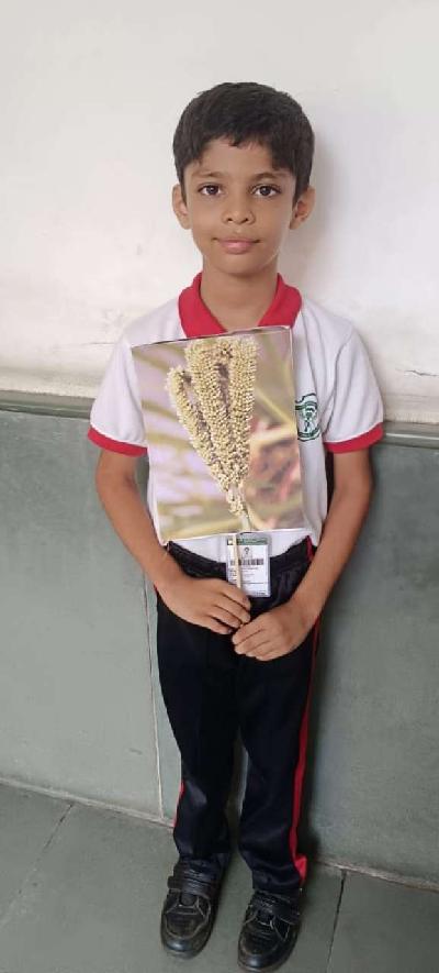 SUBJECT WEEK CELEBRATION 2024-25