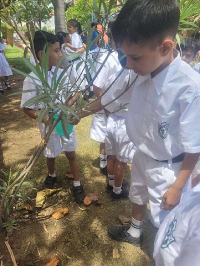 Club Activities 2024-25