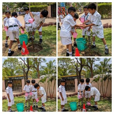Club Activities 2024-25