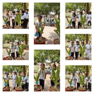 Club Activities 2024-25