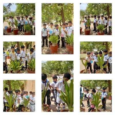 Club Activities 2024-25