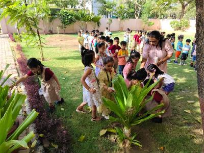 Earth Day Celebration 2024-25