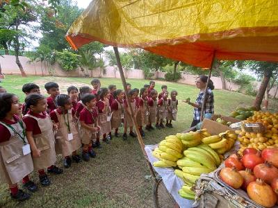 Pre Primary Activities 2024-25