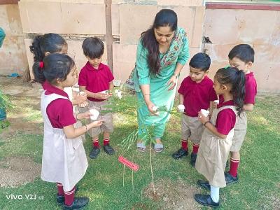 Pre Primary Activities 2025-26