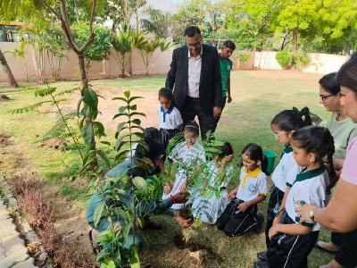 Pre Primary Activities 2025-26