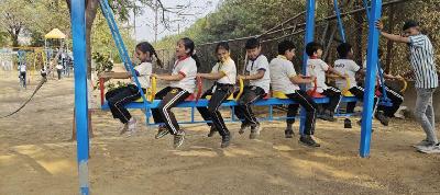 One Day Picnics 2025