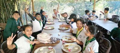 One Day Picnics 2025