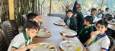 One Day Picnics 2025