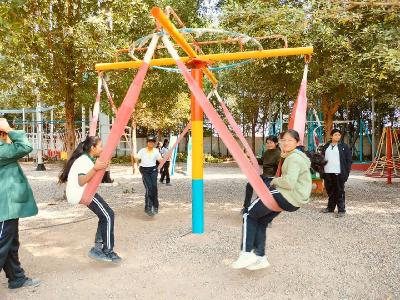 One Day Picnics 2025
