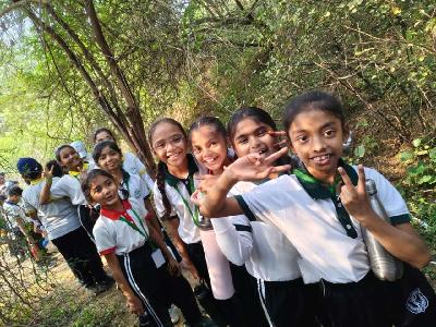 One Day Picnics 2025
