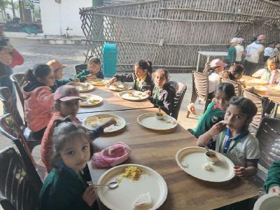 One Day Picnics 2025