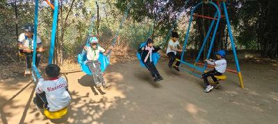 One Day Picnics 2025