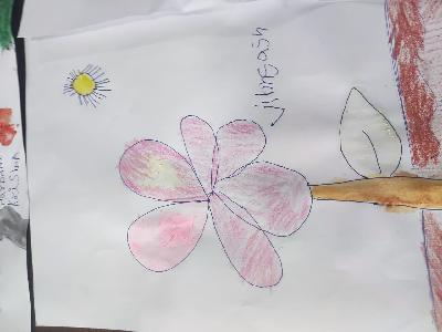 Delhi Public School Rudrapur