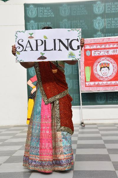 Delhi Public School Rudrapur