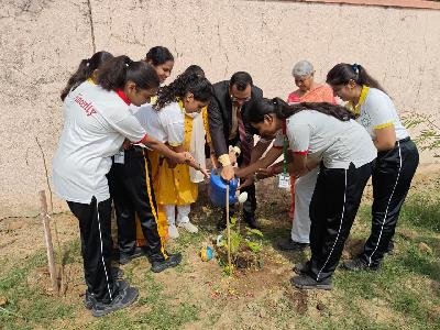 Plantation Drive 2026-2027