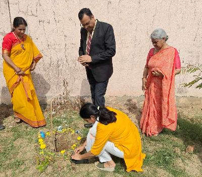 Plantation Drive 2026-2027