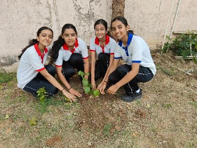 Plantation Drive 2026-2027