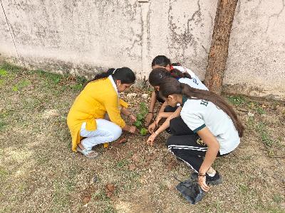 Plantation Drive 2026-2027