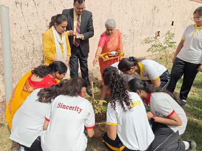 Plantation Drive 2026-2027
