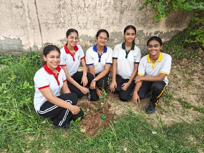 Plantation Drive 2026-2027