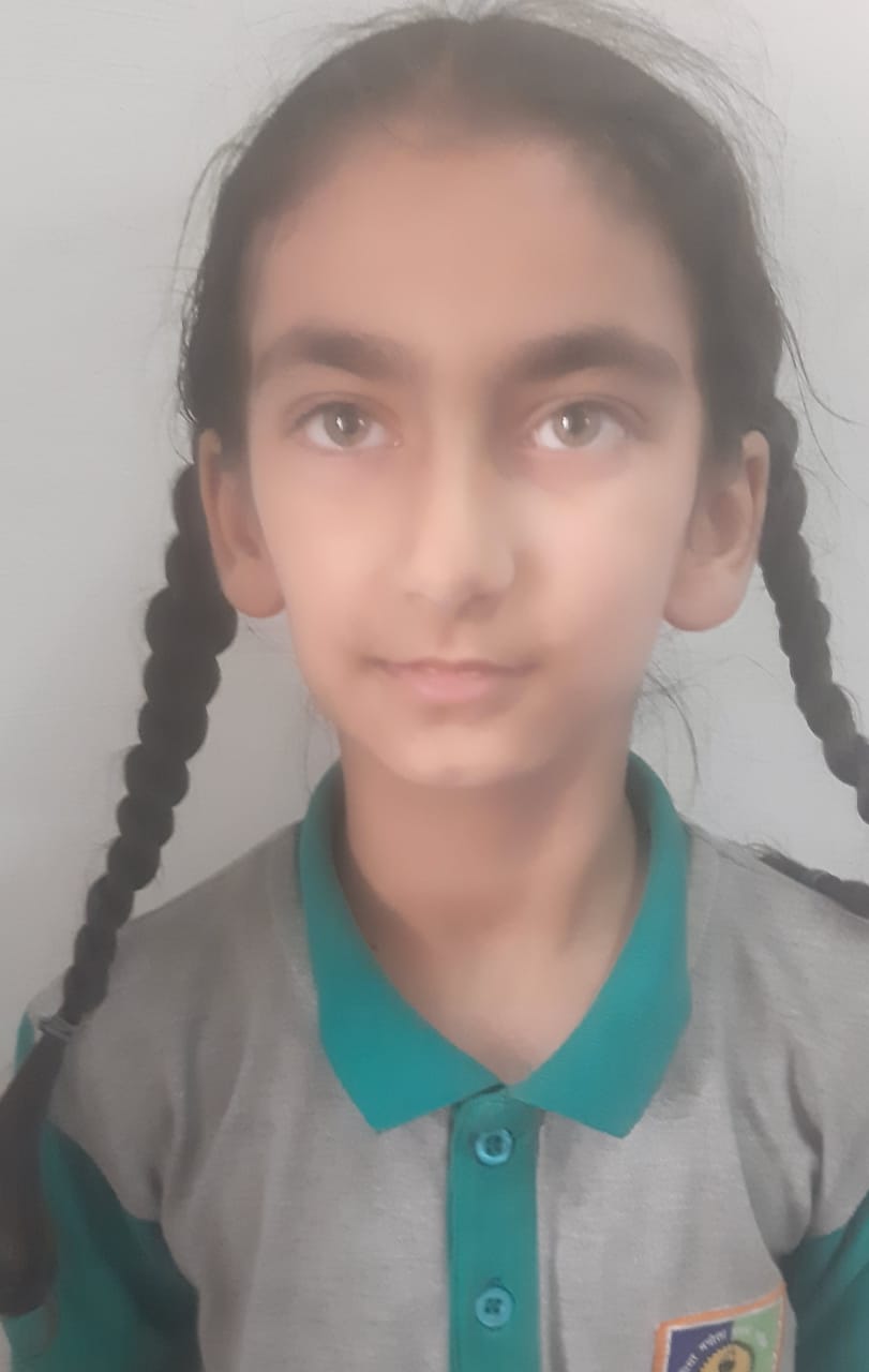 Rainbow International School