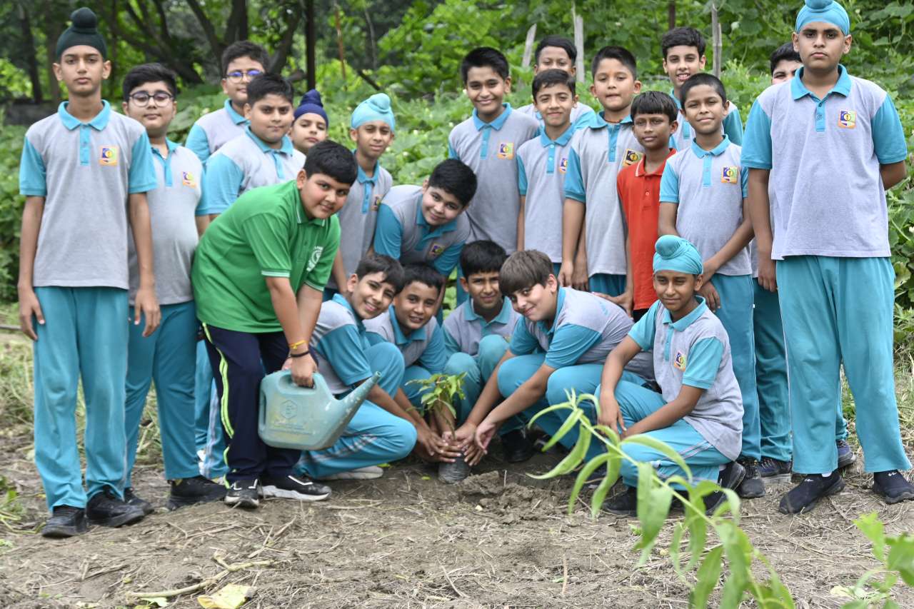 Rainbow  International School