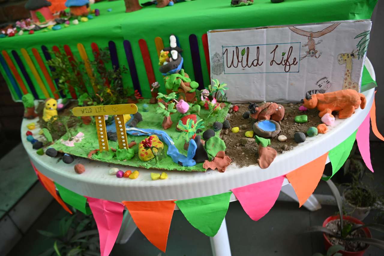 Rainbow International School