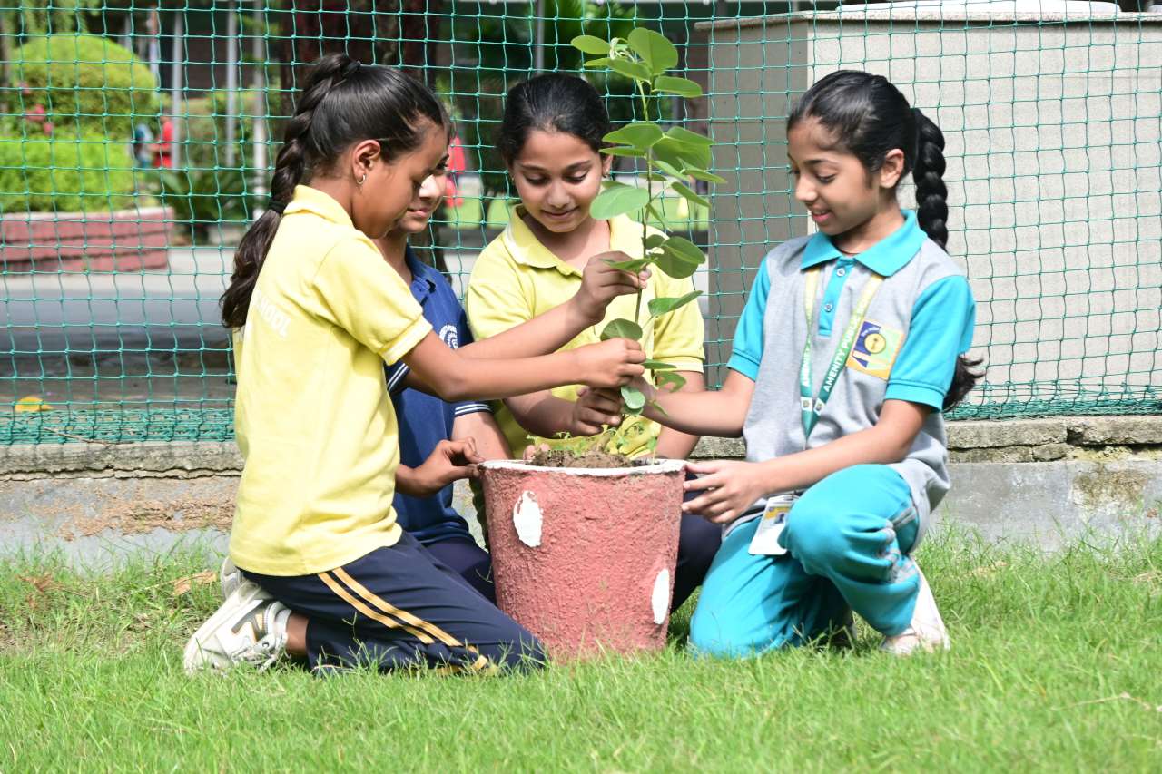Rainbow International School