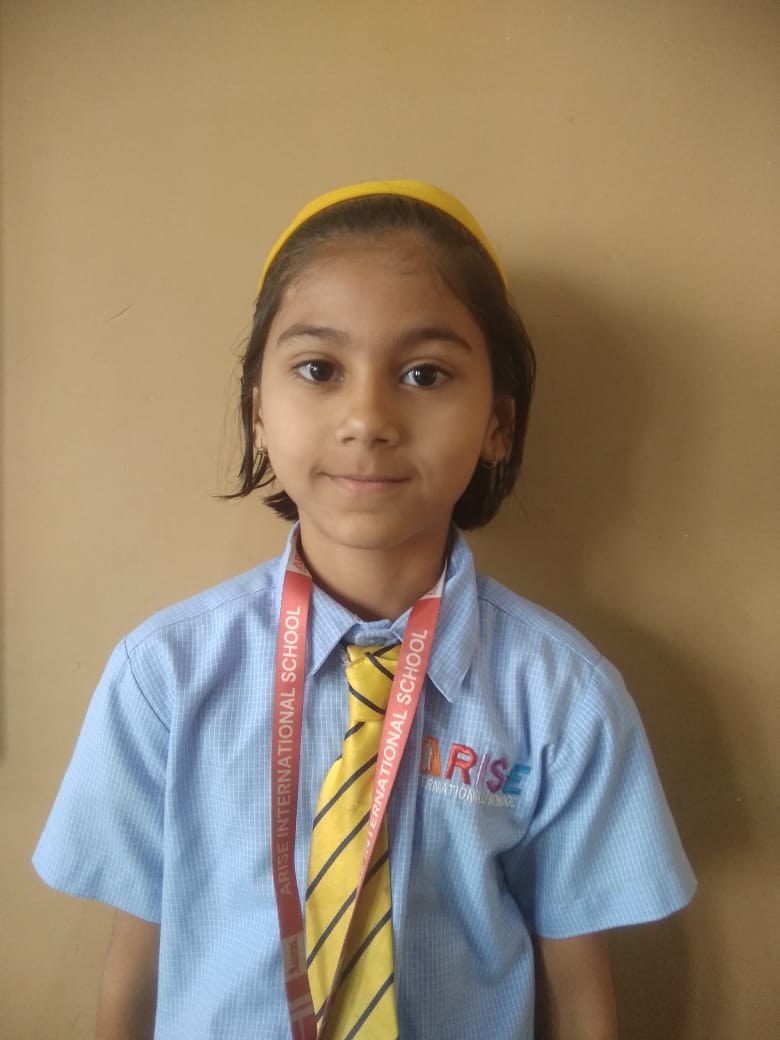 Arise International School, Ravet