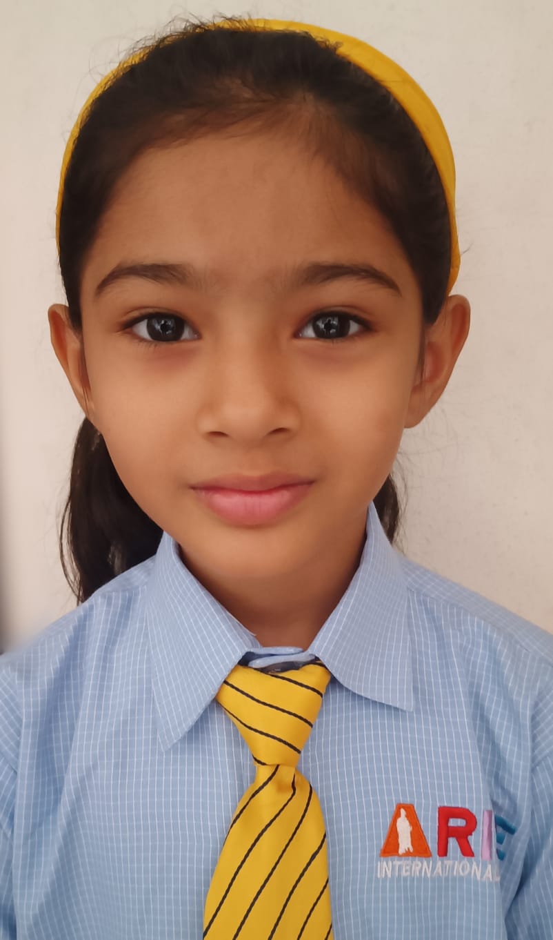 Arise International Pune