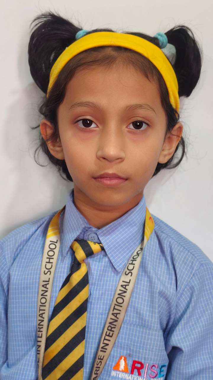 Arise International School, Ravet