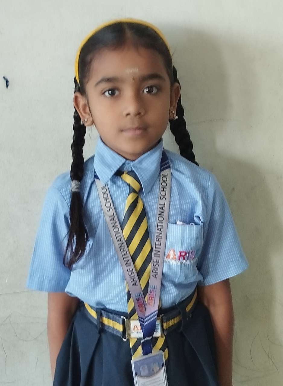 Arise International School, Ravet