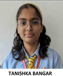 Arise International Pune