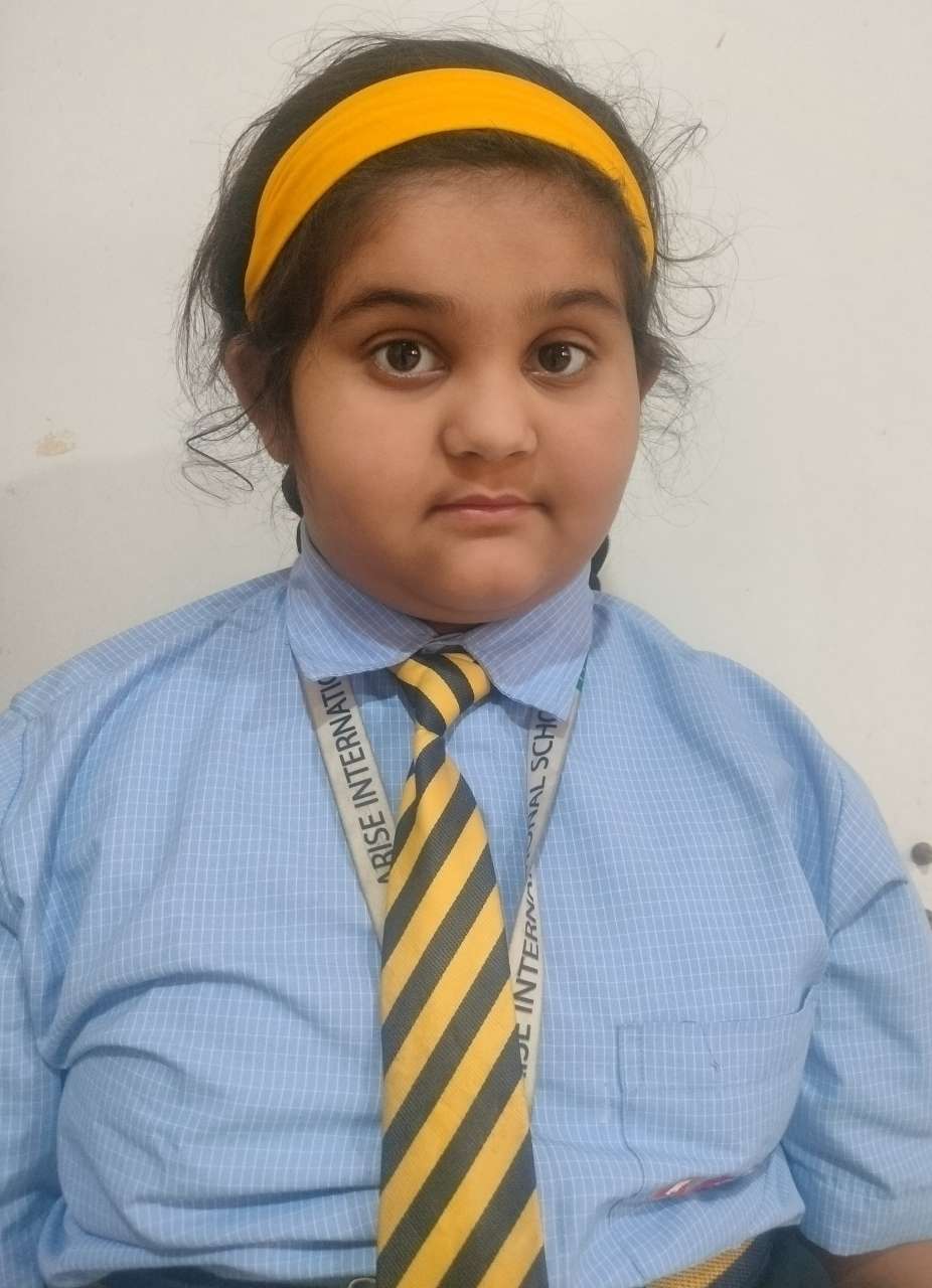 Arise International School, Bhosari
